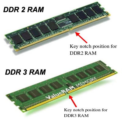 ram